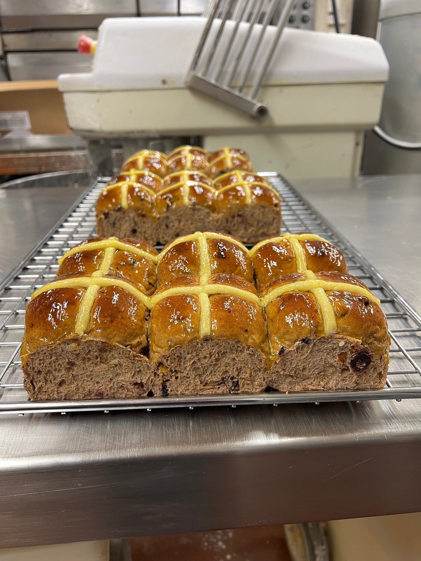 New Zealand’s Best Hot Cross Bun - 2026 National Winner
